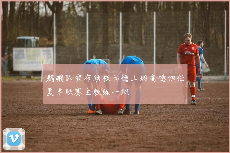 鹈鹕队宣布助教戈德山姆高德担任夏季联赛主教练一职