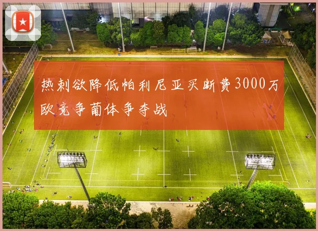 热刺欲降低帕利尼亚买断费3000万欧竞争葡体争夺战
