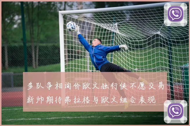 多队争相询价欧文独行侠不愿交易新帅期待弗拉格与欧文组合表现